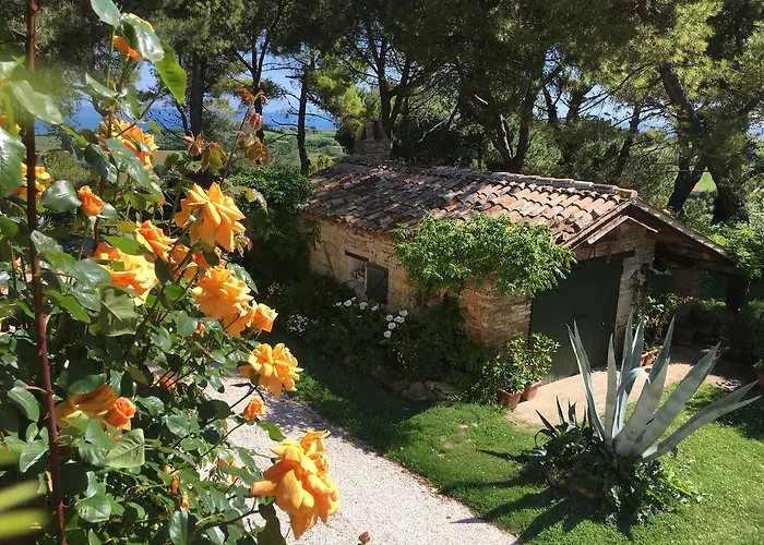 Il Colle Delle Terrazze